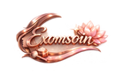 Exomsoins